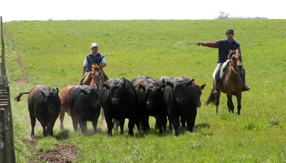 trabajadores-rurales