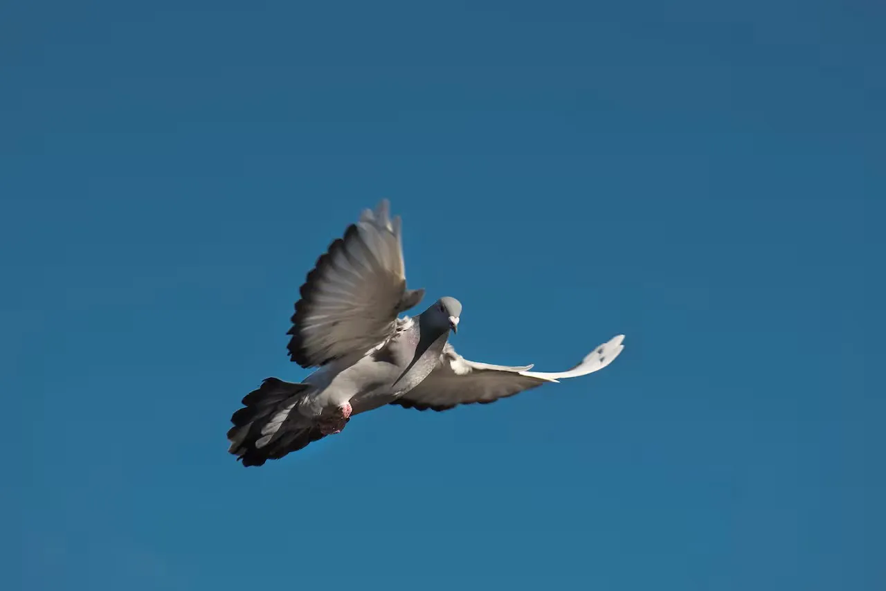 WhatsApp Image 2025-12-30 at 7.53.20 AM