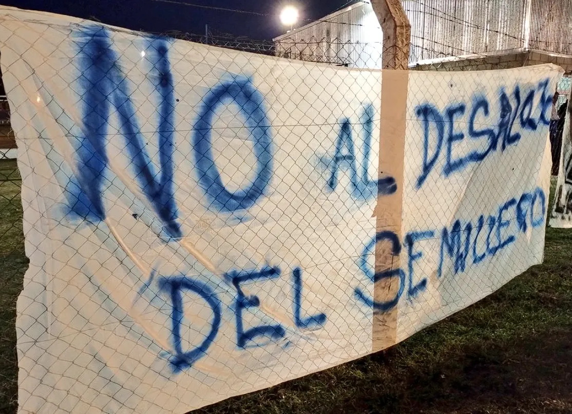 multimedia.normal.ae24bf5d20718967.Q2FwdHVyYSBkZSBwYW50YWxsYSAyMDI0LTEwLTAyIDJfbm9ybWFsLndlYnA=