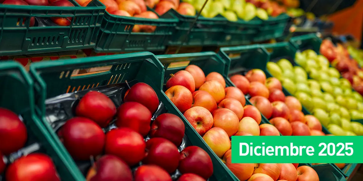 WhatsApp Image 2026-01-09 at 9.16.11 AM