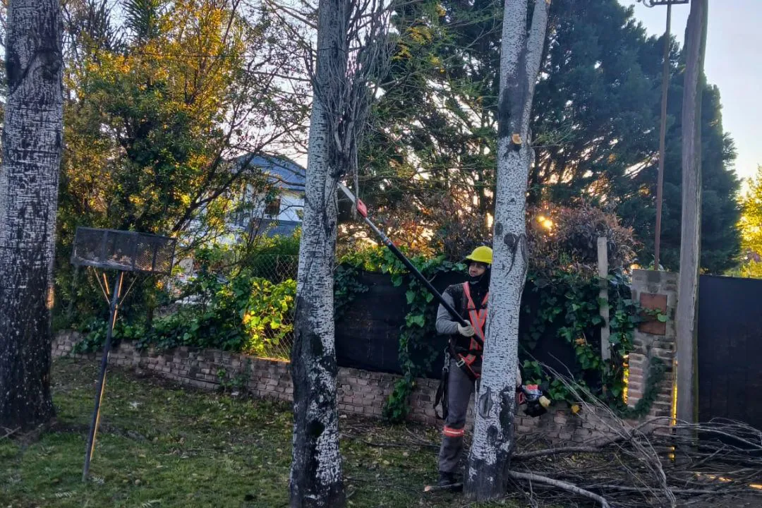 Imagen de WhatsApp 2025-09-22 a las 19.44.18_9e66f90d