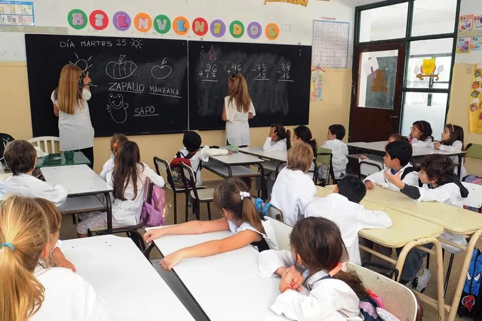 docentes