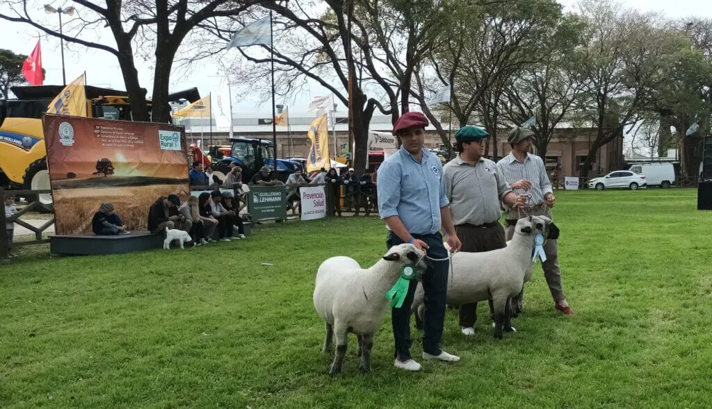 20230923_111259-1024x589