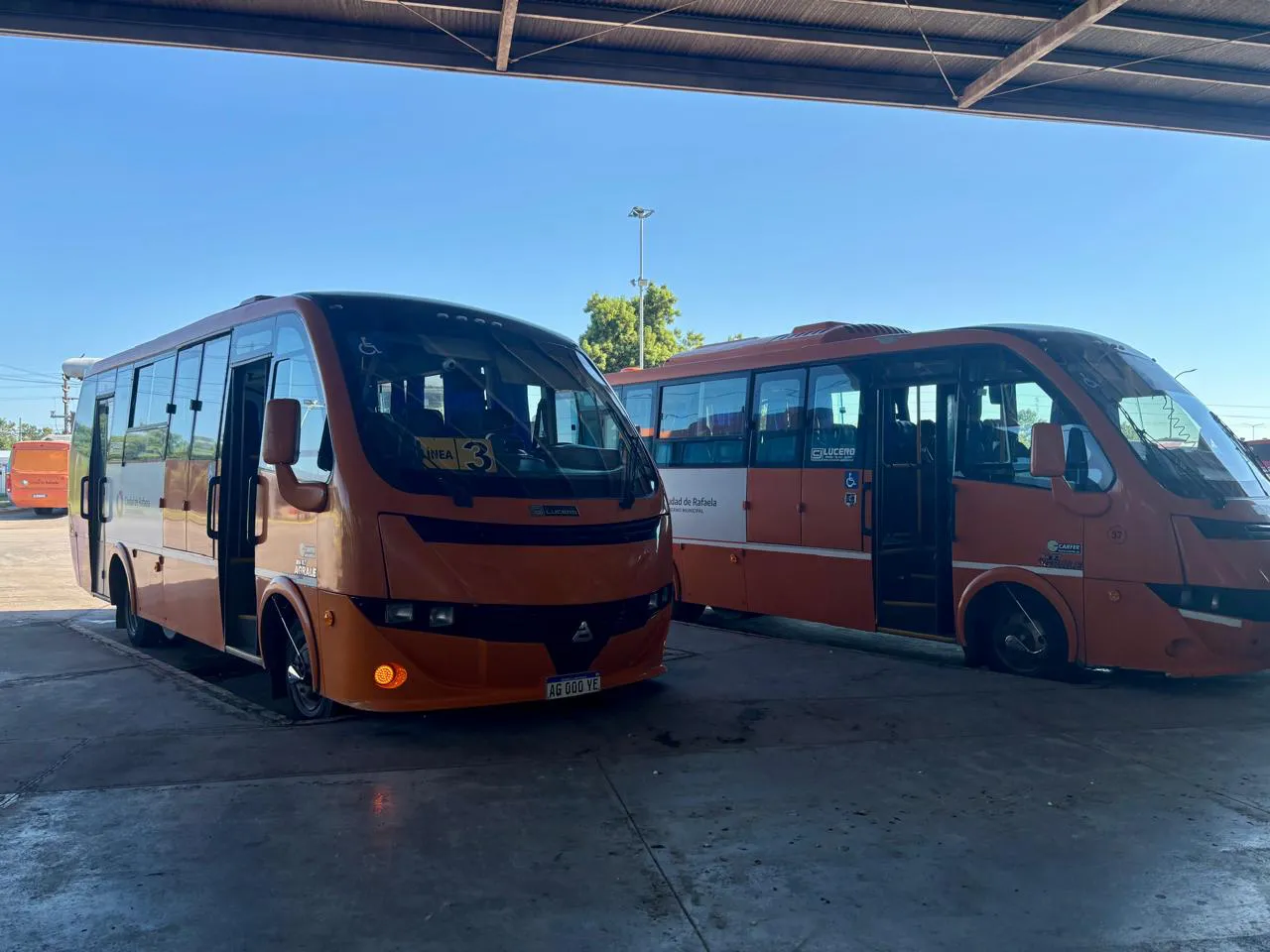 WhatsApp Image 2026-02-12 at 11.38.26 AM