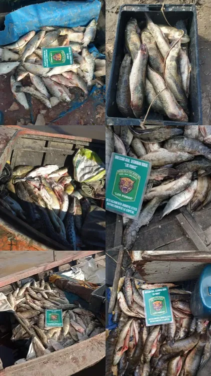 WhatsApp Image 2024-06-21 at 10.29.37