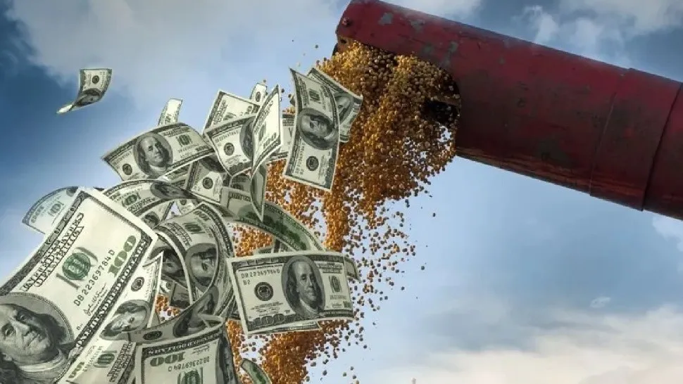 dolar-agro.jpg_1218020069