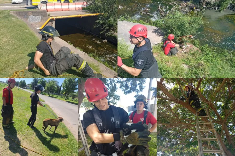 WhatsApp Image 2026-01-02 at 11.29.09 AM