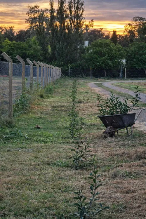 WhatsApp Image 2026-02-06 at 12.04.06 PM