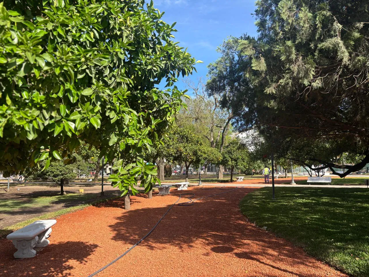 Imagen de WhatsApp 2025-10-22 a las 10.16.44_625d8e03