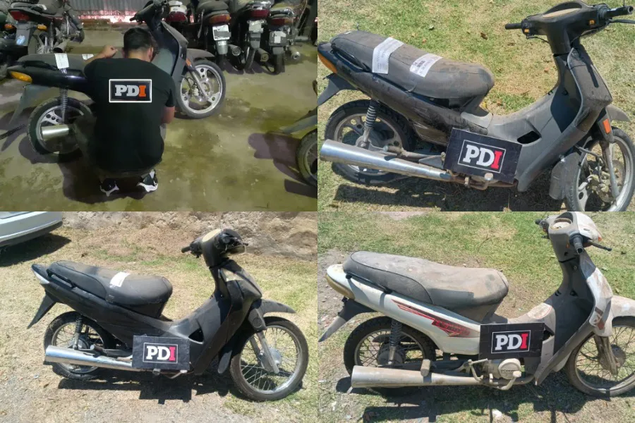 WhatsApp Image 2026-01-13 at 8.11.08 AM