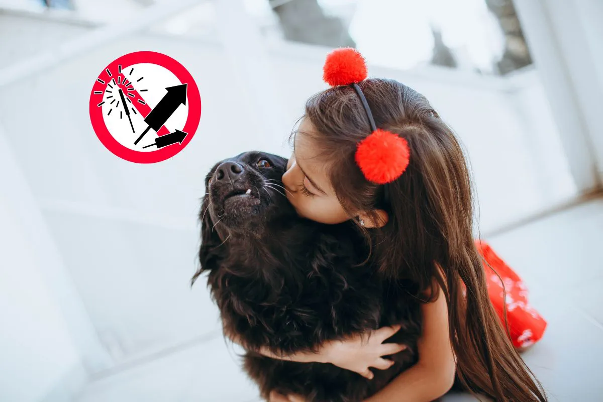 WhatsApp Image 2025-12-17 at 2.19.41 PM