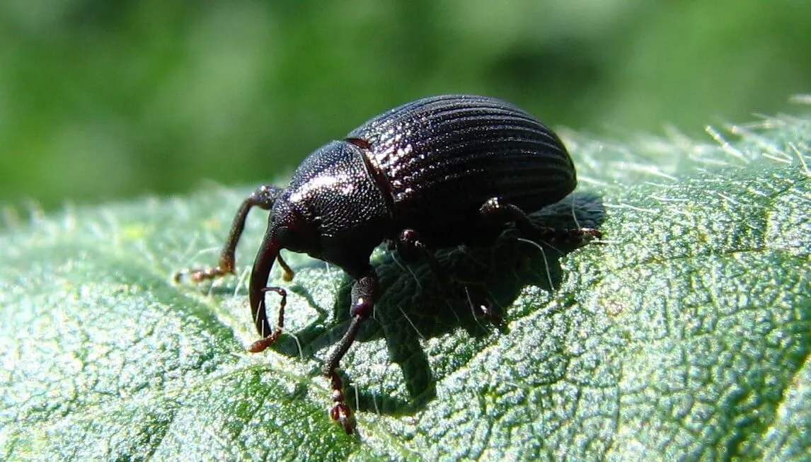 Imagen de WhatsApp 2025-08-20 a las 10.38.28_e26fe77f