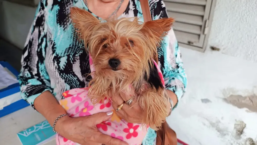 WhatsApp Image 2026-04-04 at 4.03.16 PM