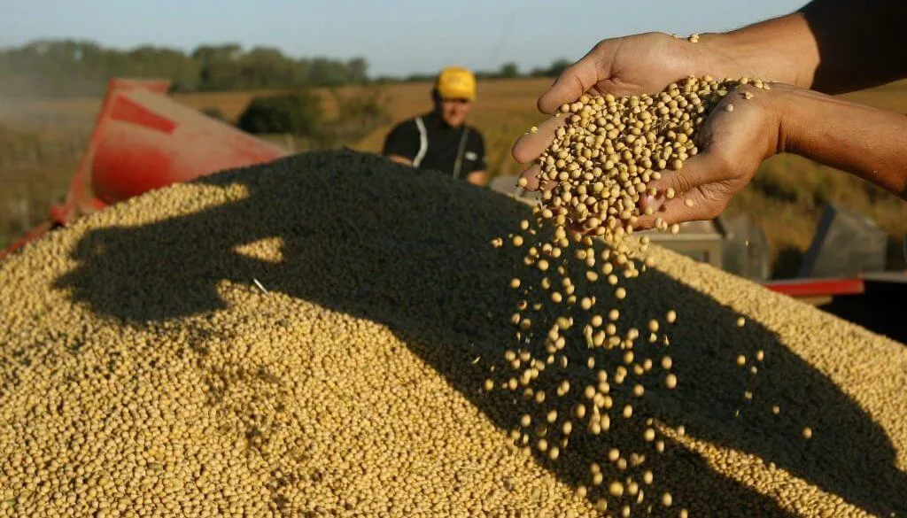 soja-argentina