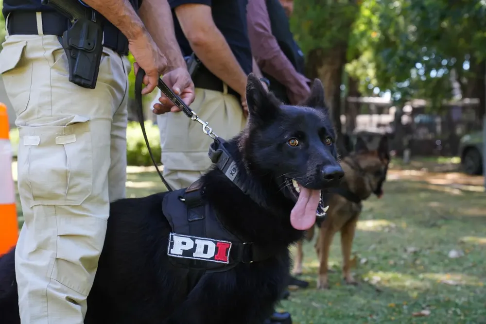 Imagen de WhatsApp 2025-11-25 a las 12.31.42_ed380ebe