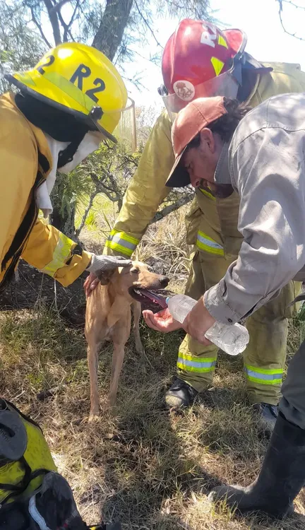 WhatsApp Image 2025-02-24 at 7.25.34 AM (1)