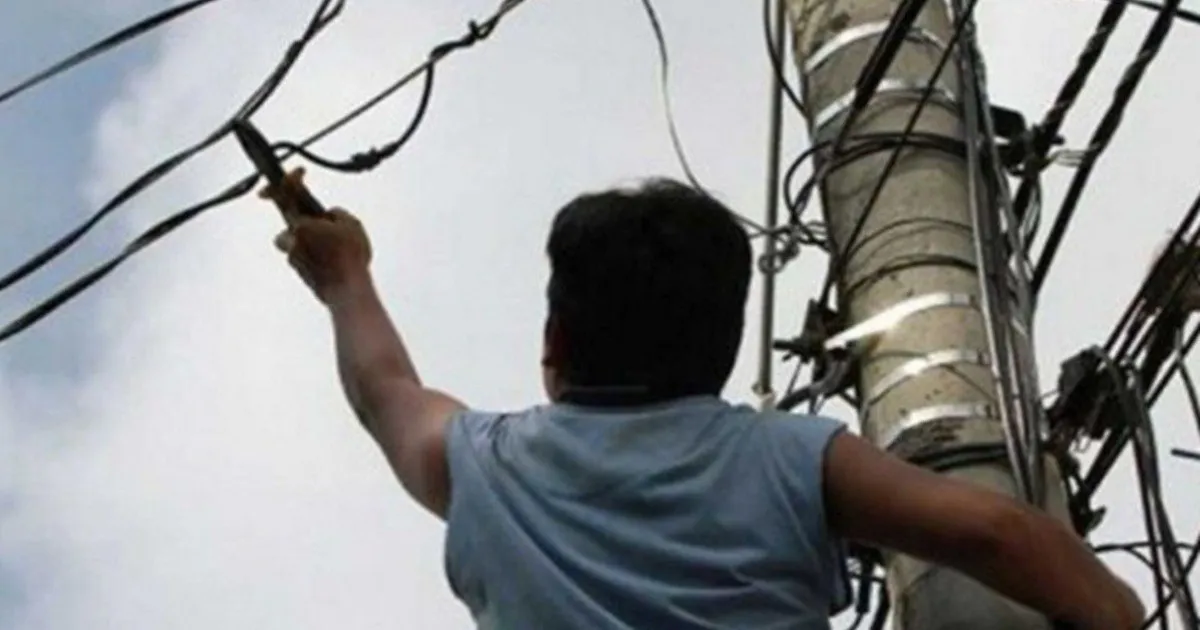 cables.jpg_1192065467