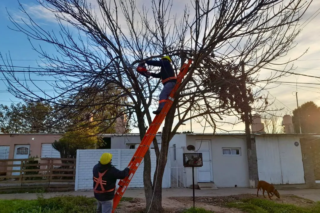 Una ciudad más limpia (2)