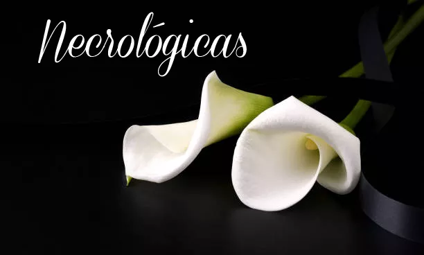 multimedia.normal.8e5daba322952731.506f7274616461204e6563726f6c6f67696361735f6e6f726d616c2e77656270