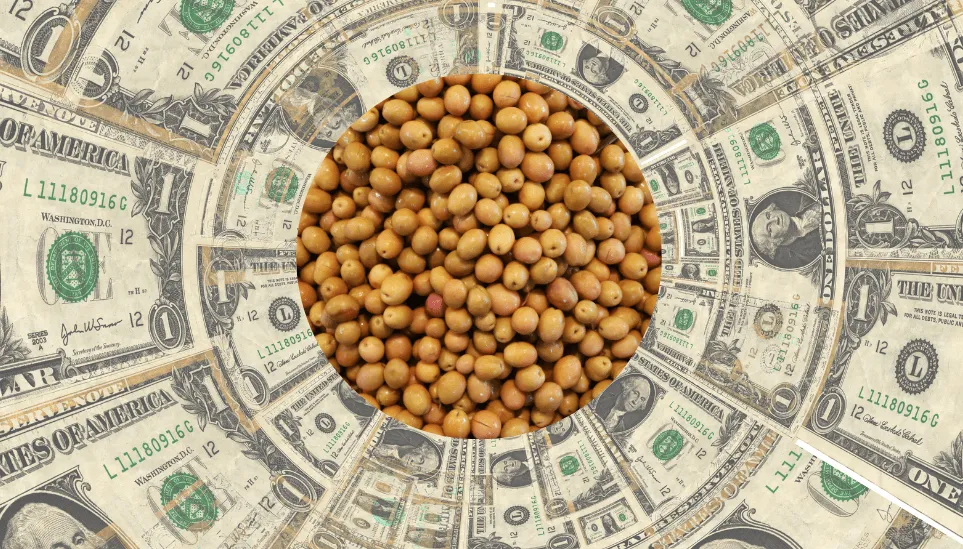dolar-soja