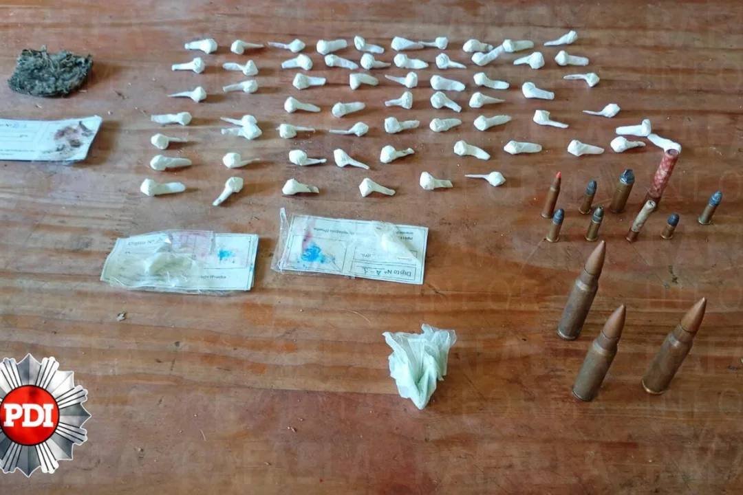 foto para portal (2)