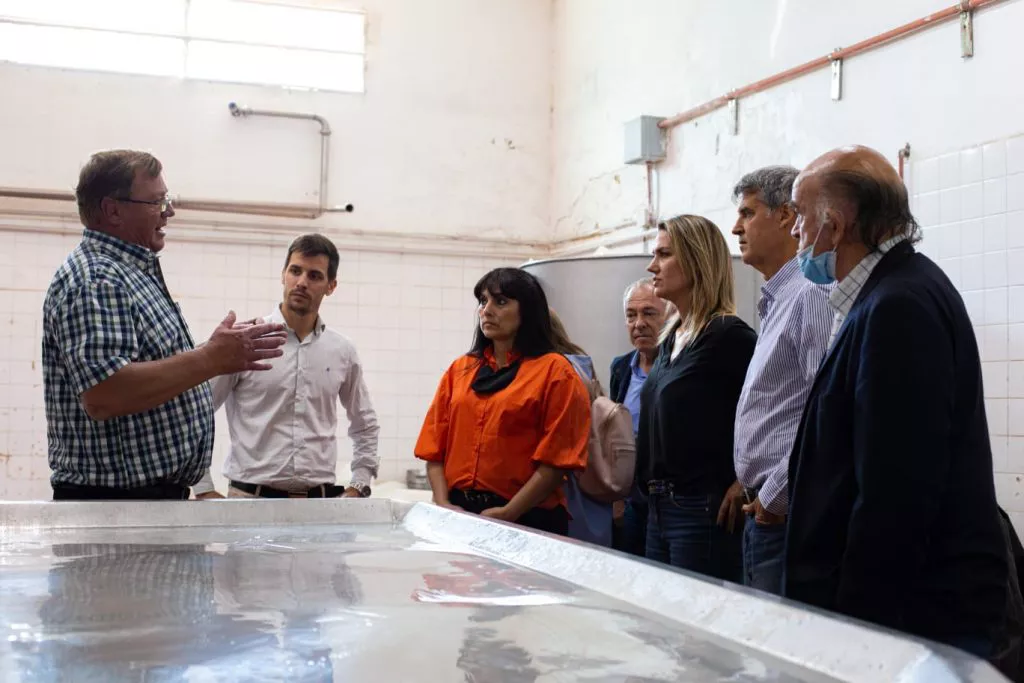 PAGINA-5-ABAJO-1024x683