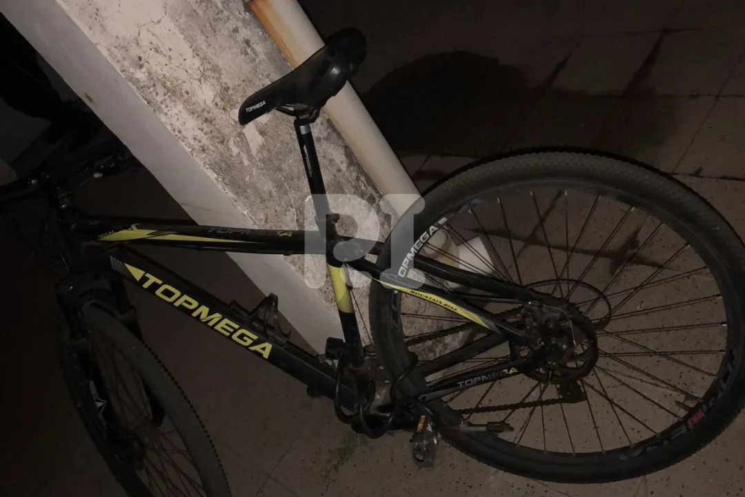 Diseño sin título (3)