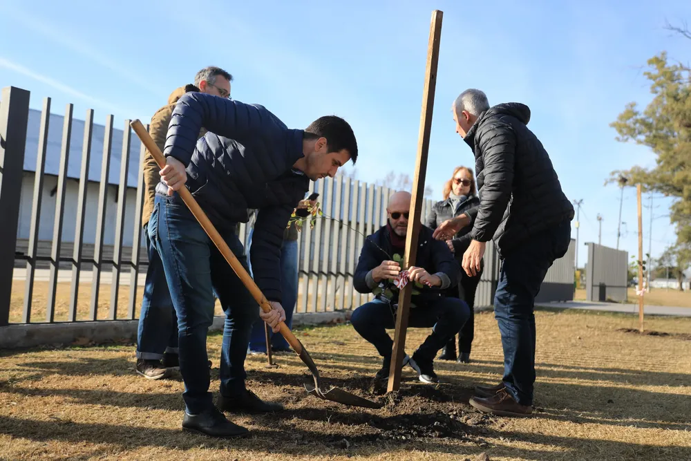 Imagen de WhatsApp 2025-07-06 a las 19.39.10_6894cbbe