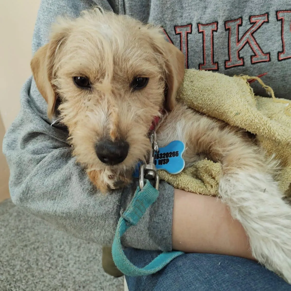 WhatsApp Image 2025-01-18 at 13.25.19