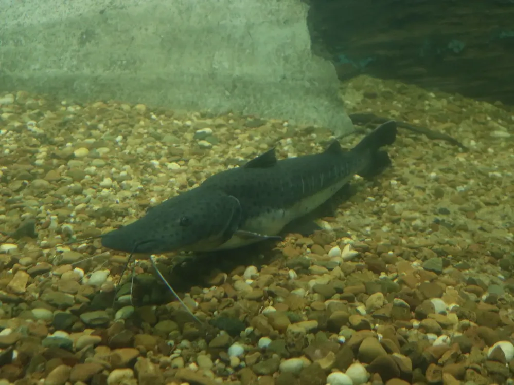 Imagen de WhatsApp 2025-10-28 a las 12.02.29_24bc1a07