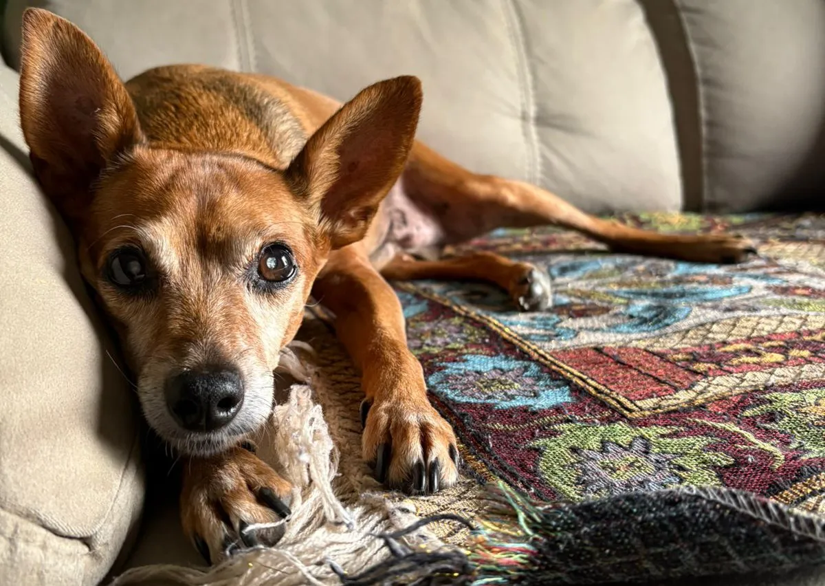 WhatsApp Image 2026-01-20 at 8.17.17 AM