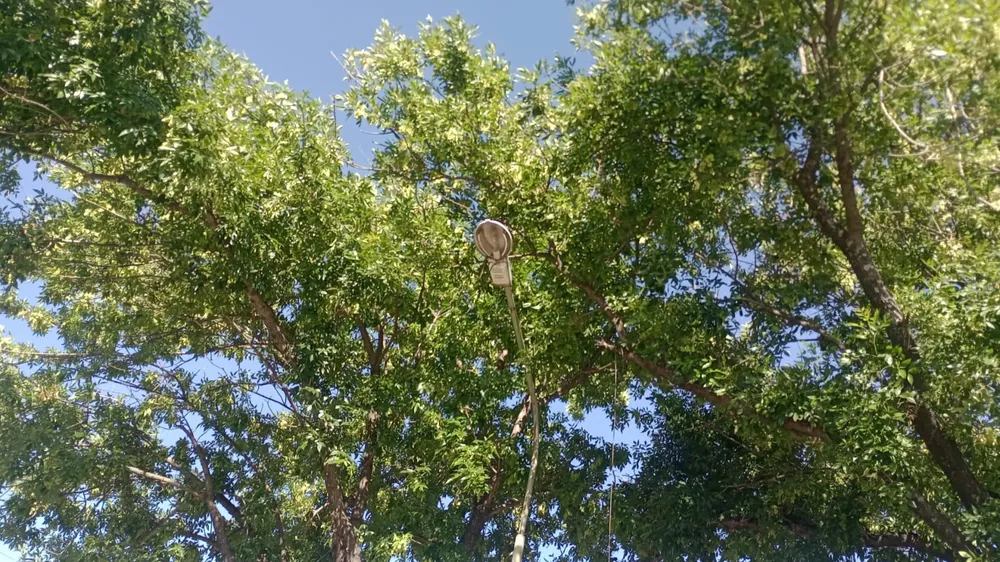 Imagen de WhatsApp 2025-11-19 a las 08.04.05_679132a9