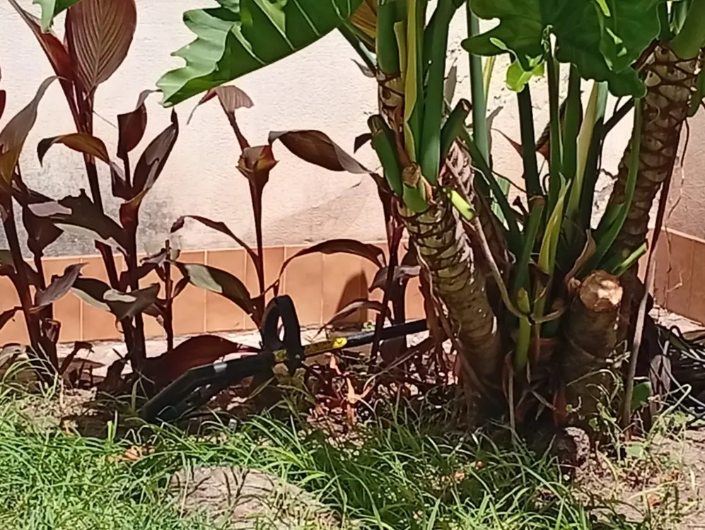 WhatsApp Image 2026-01-06 at 7.16.29 PM