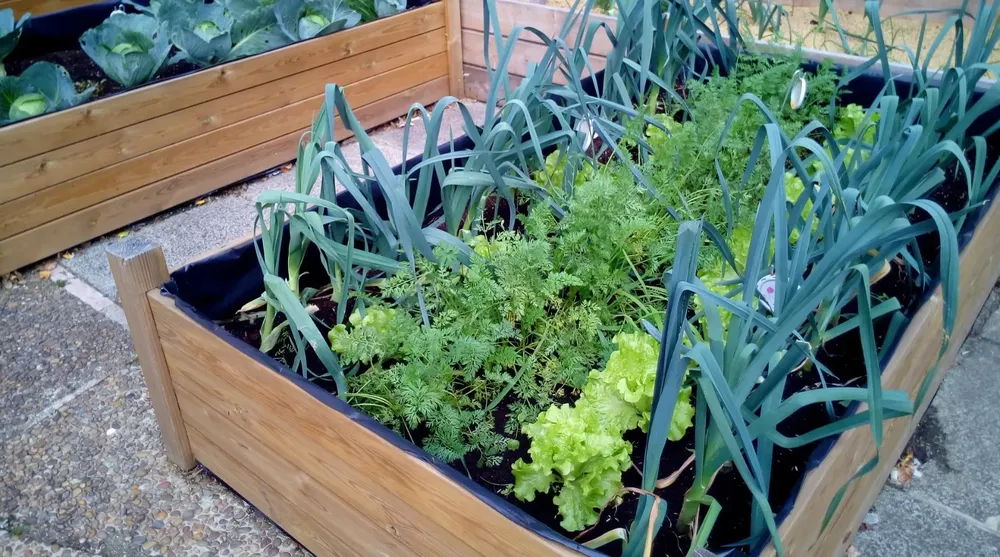 WhatsApp Image 2024-10-28 at 12.11.58