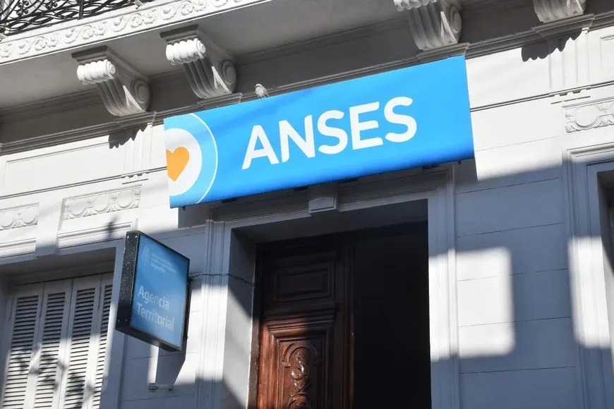 WhatsApp Image 2024-07-31 at 21.10.43