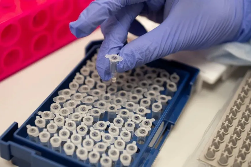 WhatsApp Image 2024-09-28 at 11.00.38