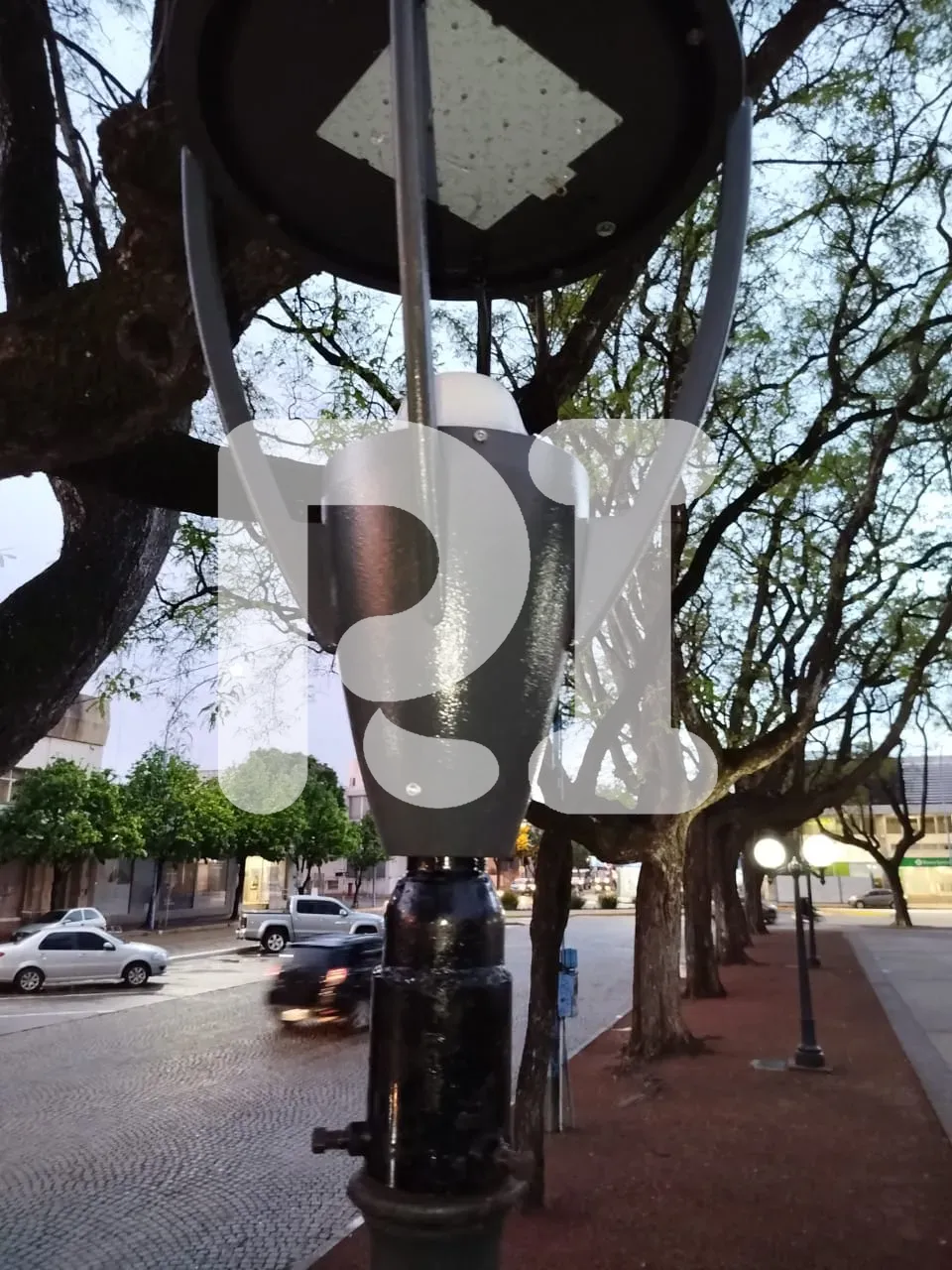 WhatsApp Image 2024-10-22 at 08.53.07