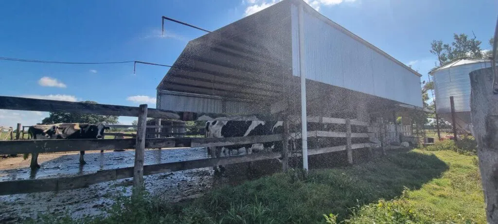 322747ce-59e5-4b77-81fa-a81365134770