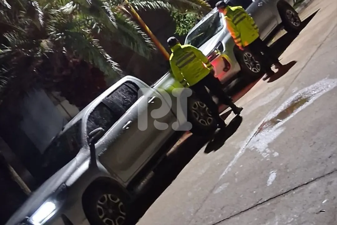 Diseño sin título_20250331_101615_0000