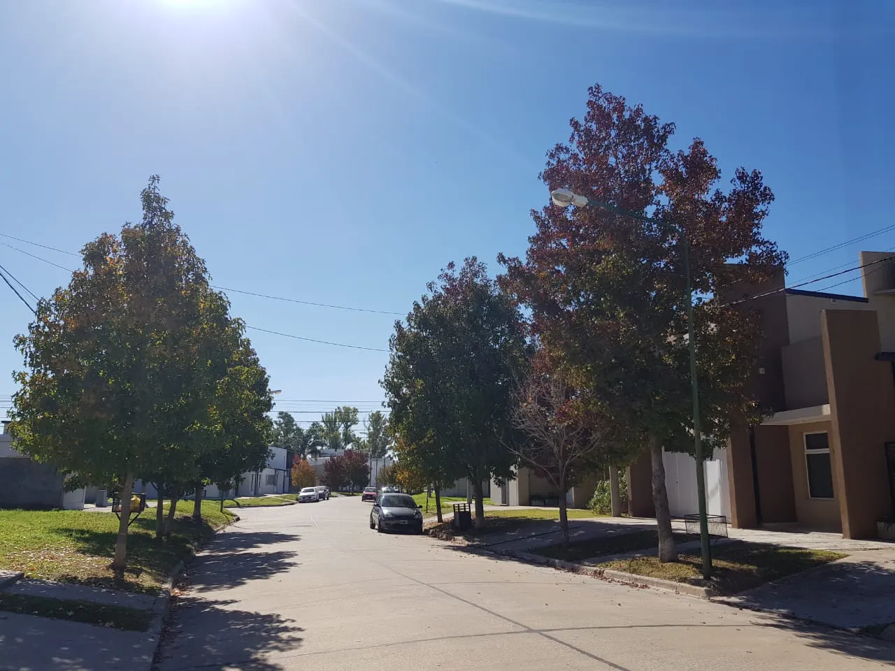 WhatsApp Image 2026-02-12 at 7.08.35 AM