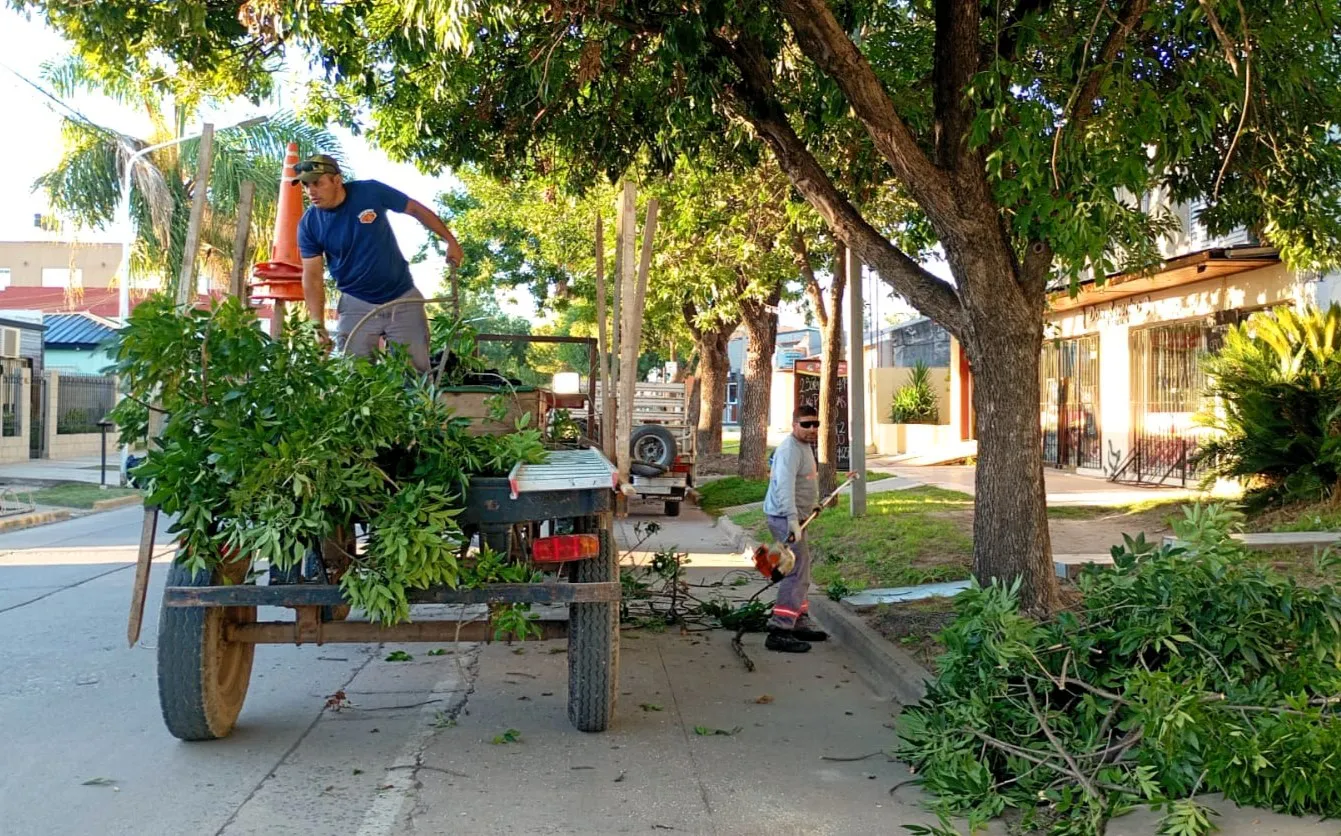 WhatsApp Image 2026-01-23 at 6.32.41 PM