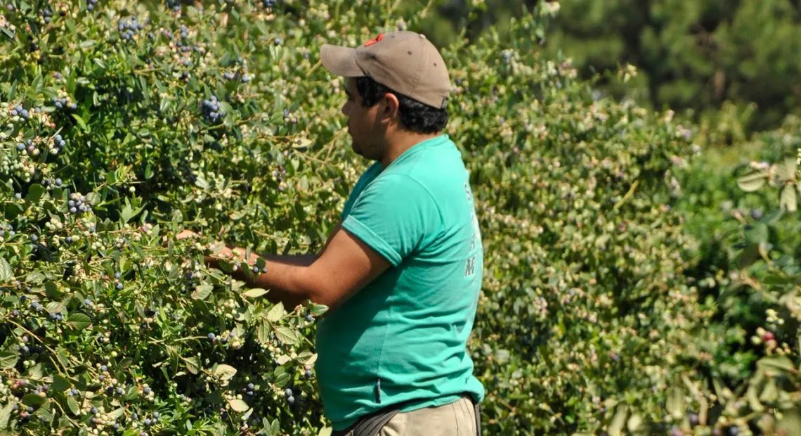 0cd3df85-e059-4624-9e4e-3d04c3644b37-1140x620