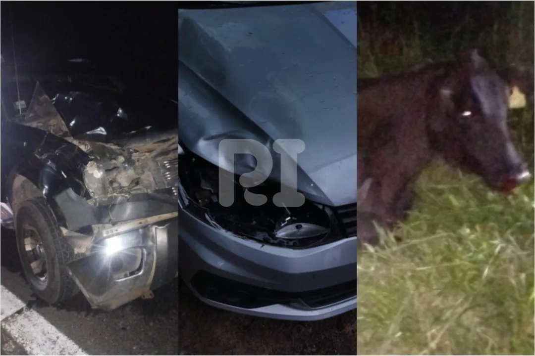 Diseño sin título (1)