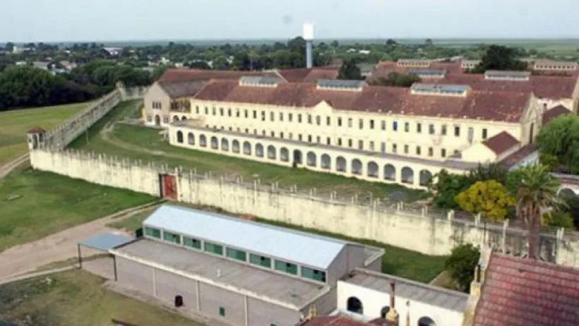 WhatsApp Image 2025-01-29 at 9.12.09 AM