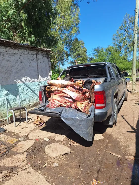 WhatsApp Image 2025-01-02 at 19.53.11