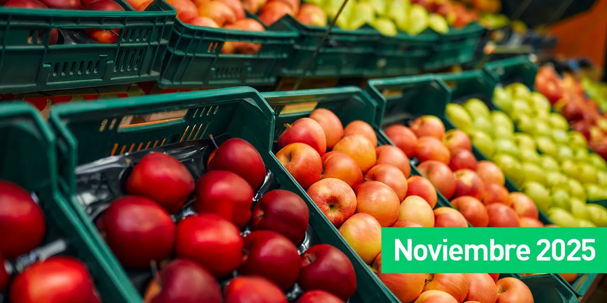 Imagen de WhatsApp 2025-12-12 a las 18.30.23_dc70e5af