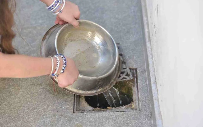 WhatsApp Image 2026-04-07 at 11.01.29 AM