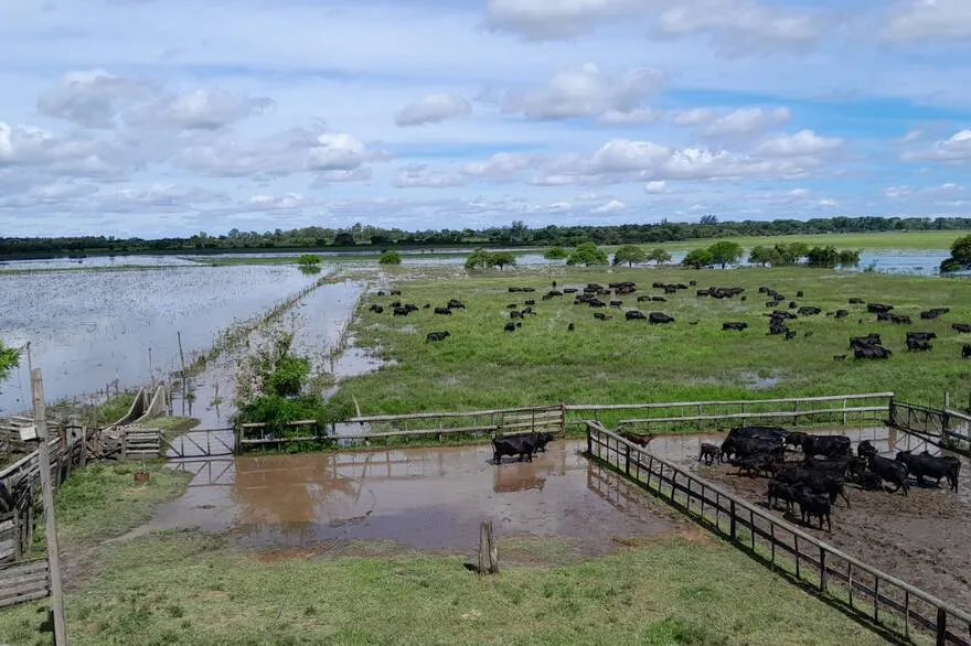un-campo-anegado-en-la-zona-de-reconquista-santa-WCRC2TCQOVD4RKBMS34U7KKX6Q