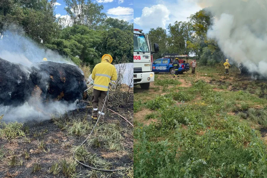 WhatsApp Image 2026-02-02 at 7.23.27 PM