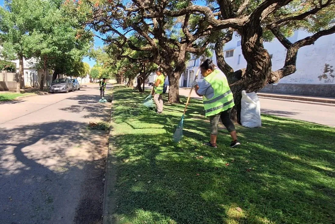 WhatsApp Image 2026-01-27 at 2.30.37 PM